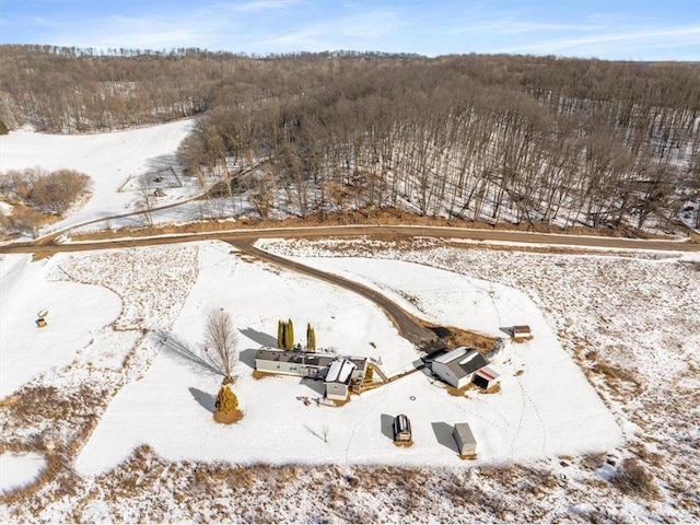 view of snowy aerial view