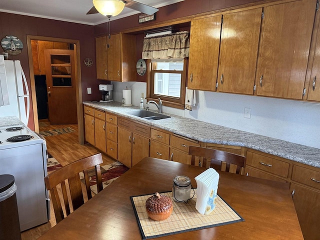 kitchen featuring electric range, brown cabinetry, freestanding refrigerator, light countertops, and a sink