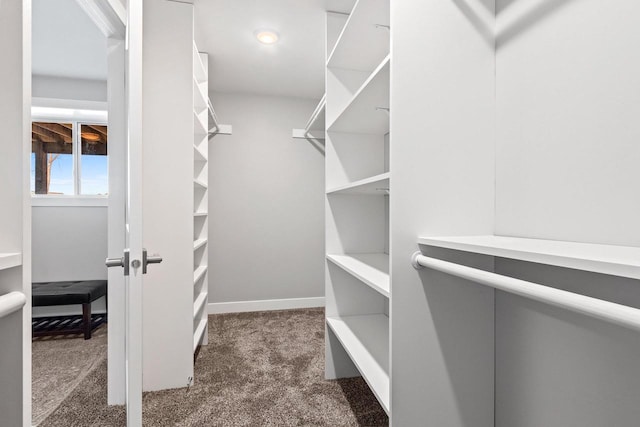 walk in closet with dark colored carpet