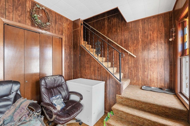 stairs featuring wooden walls