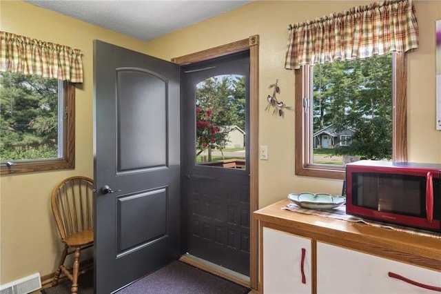 115 Pine Crest Rd, Balsam Lake, WI 54810 - entryway with plenty of natural light and visible vents