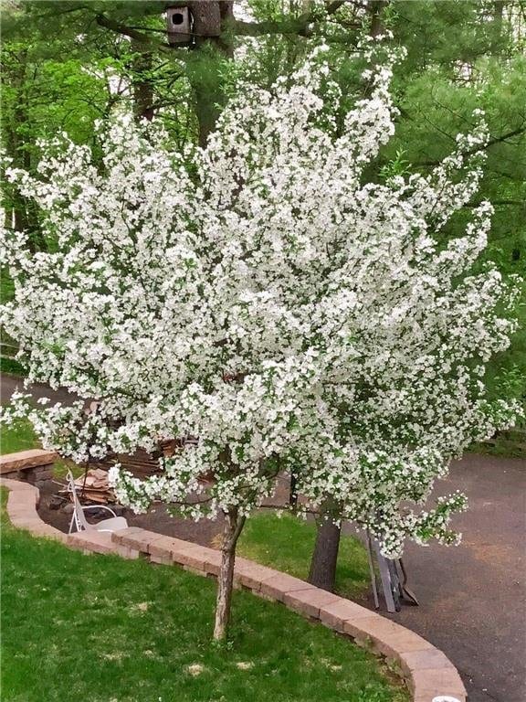 115 Pine Crest Rd, Balsam Lake, WI 54810 - exterior space