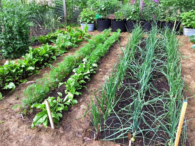 115 Pine Crest Rd, Balsam Lake, WI 54810 - view of yard featuring a vegetable garden