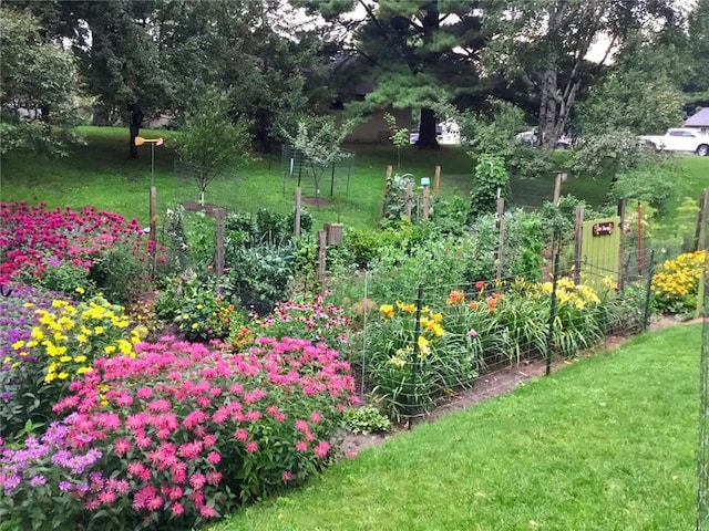 115 Pine Crest Rd, Balsam Lake, WI 54810 - view of yard with a vegetable garden