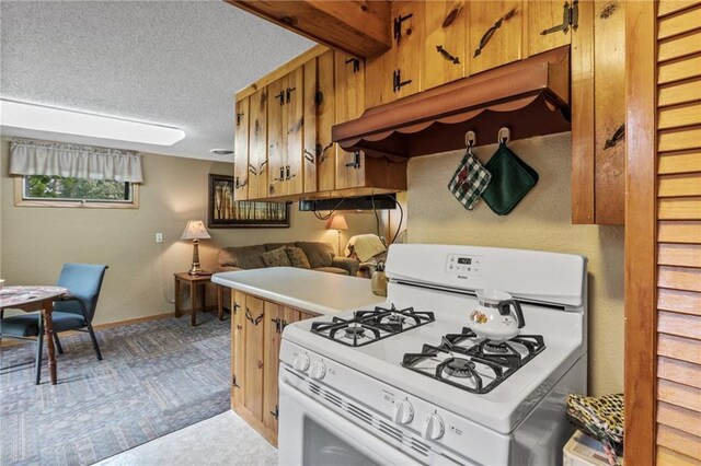 115 Pine Crest Rd, Balsam Lake, WI 54810 - kitchen featuring light countertops, brown cabinetry, white range with gas cooktop, a textured ceiling, and under cabinet range hood