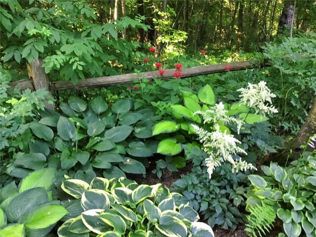 115 Pine Crest Rd, Balsam Lake, WI 54810 - view of details