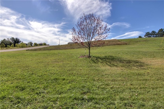 view of yard featuring a rural view