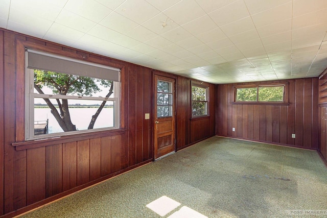 carpeted spare room featuring a water view and wooden walls