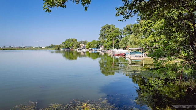 property view of water with a dock