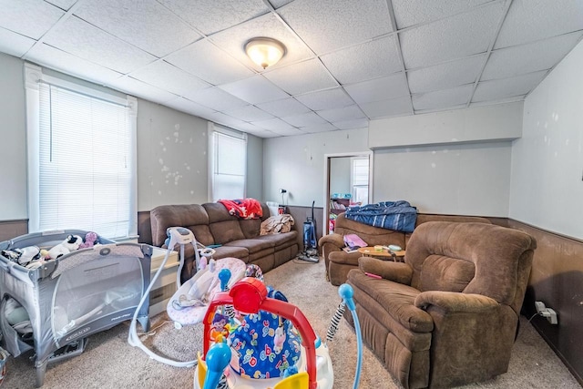 carpeted living room featuring a healthy amount of sunlight and a drop ceiling