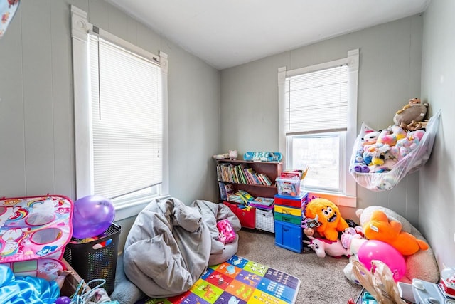 rec room with carpet floors