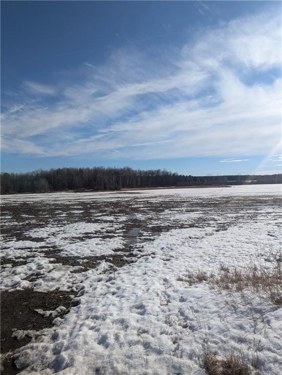 Listing photo 3 for LOT4 County Highway W, Holcombe WI 54745