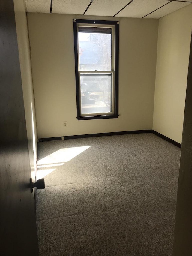 spare room featuring carpet, baseboards, and a drop ceiling