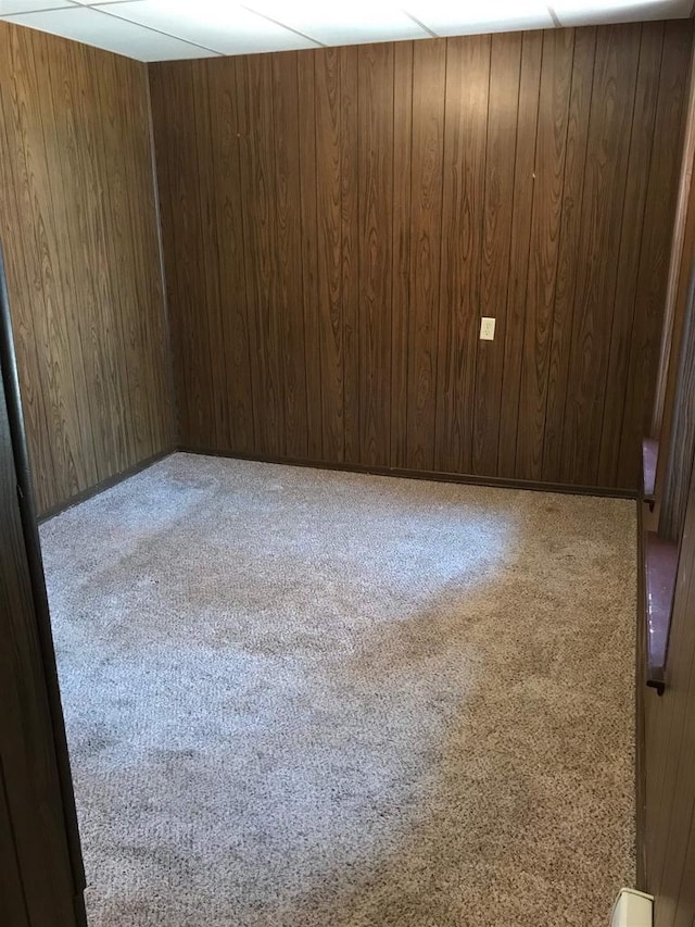 unfurnished room featuring carpet and wooden walls
