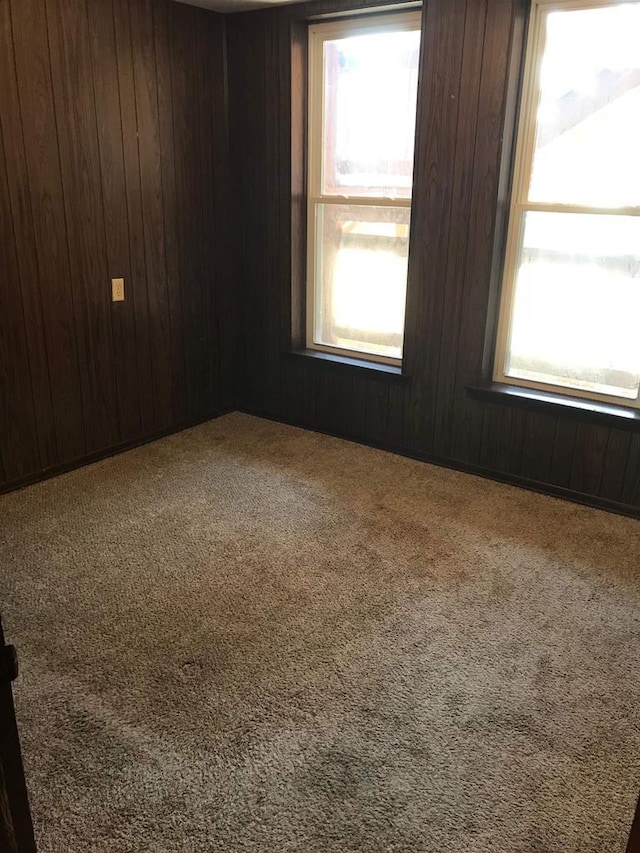 carpeted empty room featuring a healthy amount of sunlight and wood walls