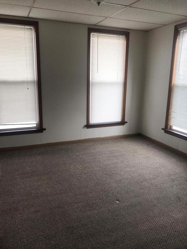 carpeted spare room featuring baseboards and a drop ceiling