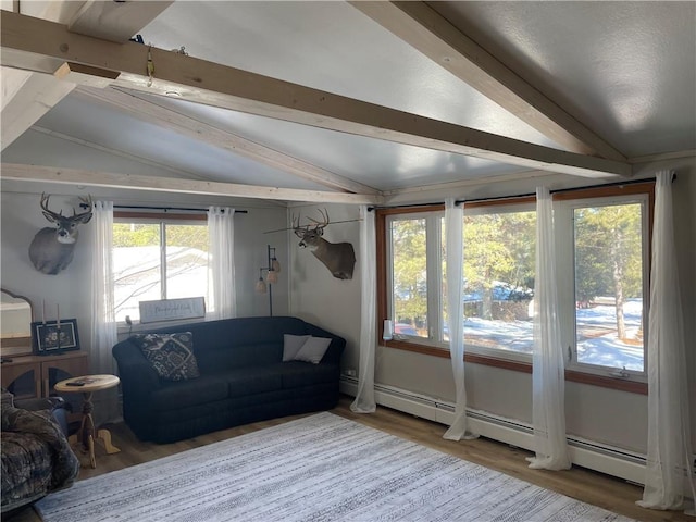 155 Zach St, Glidden, WI 54527 - living area with vaulted ceiling with beams, baseboard heating, and wood finished floors