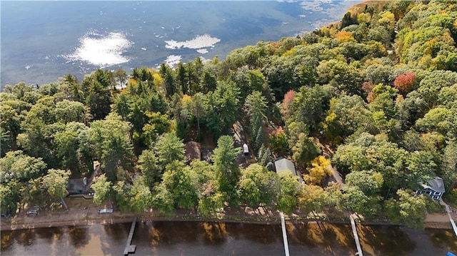 birds eye view of property featuring a water view and a view of trees