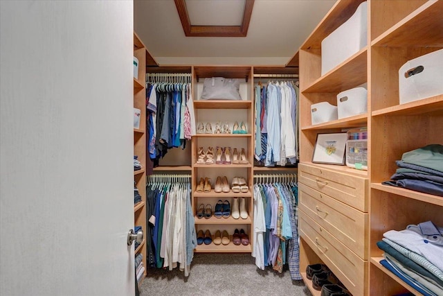 walk in closet with attic access and carpet