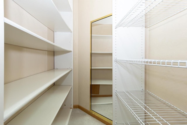 view of walk in closet