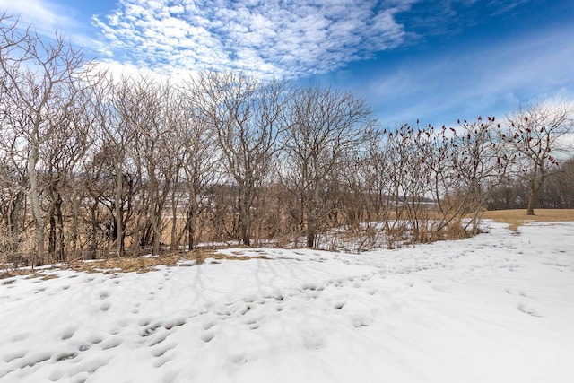 view of yard covered in snow