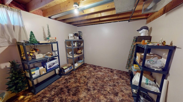 finished basement featuring carpet flooring