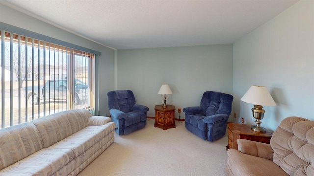 living room with carpet floors