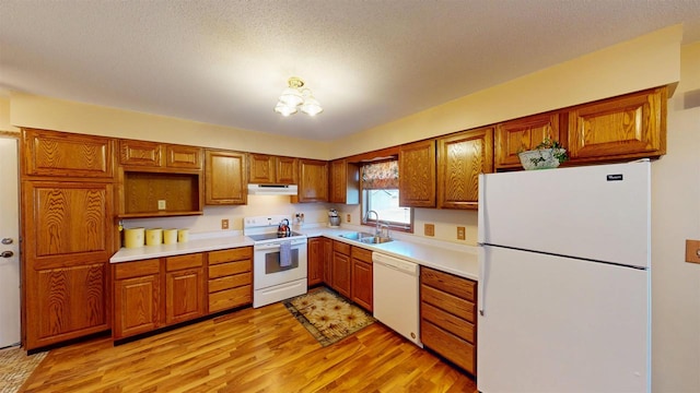 kitchen with white appliances, light wood finished floors, brown cabinetry, under cabinet range hood, and a sink