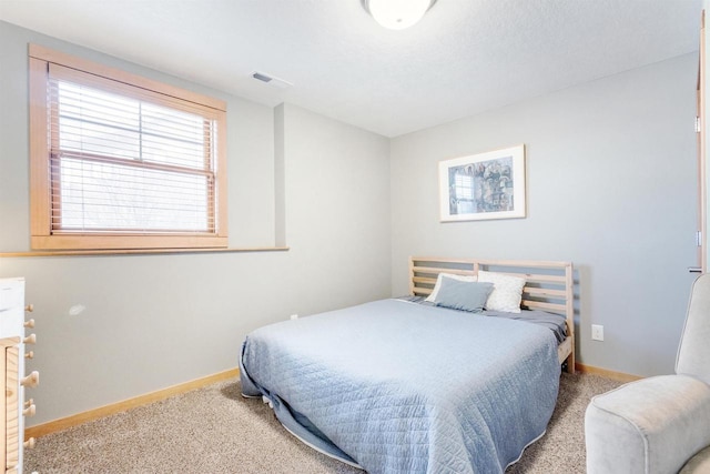 N8111 Castaway Dr, New Lisbon, WI 53950 - bedroom with carpet, visible vents, and baseboards
