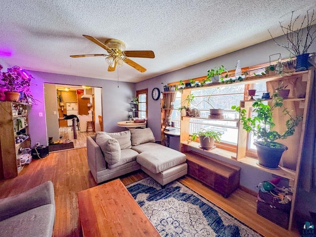 living area featuring plenty of natural light, a textured ceiling, and wood finished floors