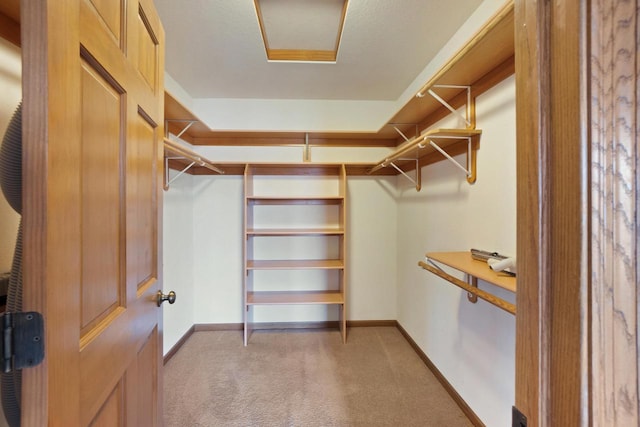 walk in closet with light colored carpet