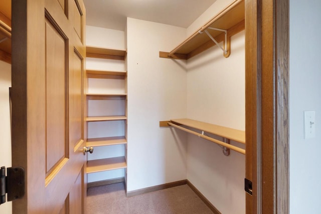 walk in closet featuring carpet floors