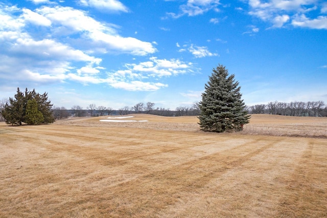 view of yard with a rural view