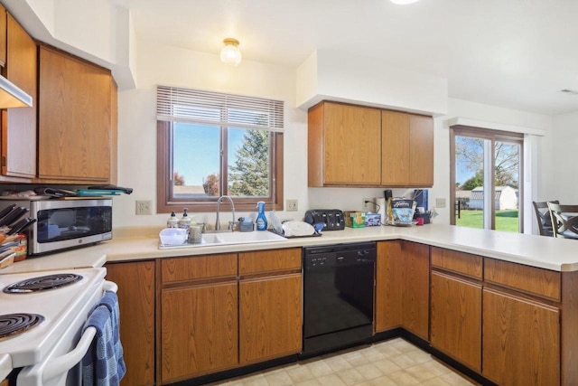 kitchen featuring black dishwasher, light countertops, stainless steel microwave, and a sink