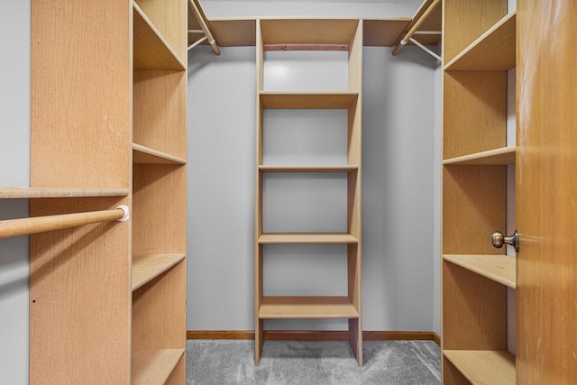 spacious closet featuring carpet flooring