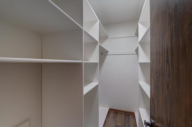 walk in closet featuring wood finished floors