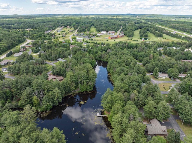 drone / aerial view with a water view and a forest view