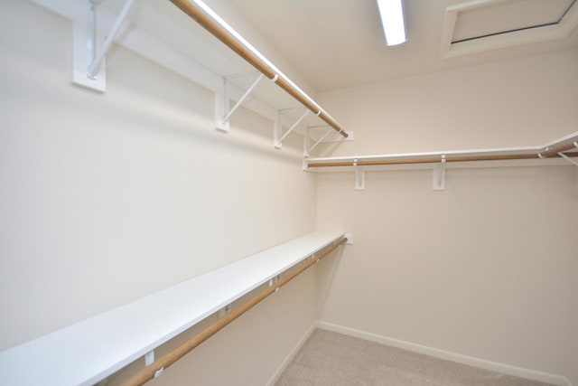 W198N5372 Boxwood Blvd, Menomonee Falls, WI 53051 - walk in closet featuring light carpet