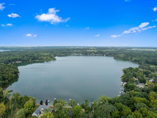 bird's eye view featuring a forest view and a water view