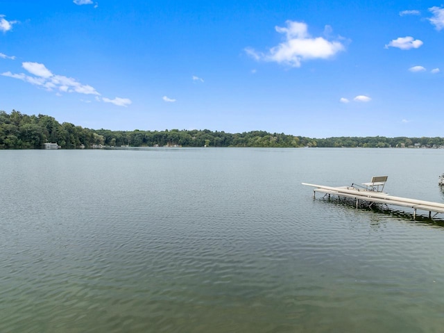 dock area with a water view and a view of trees