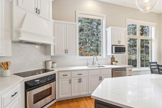 kitchen with tasteful backsplash, custom range hood, appliances with stainless steel finishes, a sink, and plenty of natural light