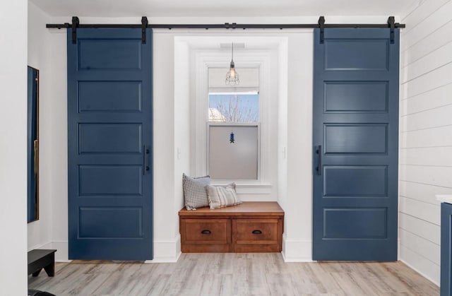 205 State St, Ripon, WI 54971 - interior space with light wood finished floors and a barn door
