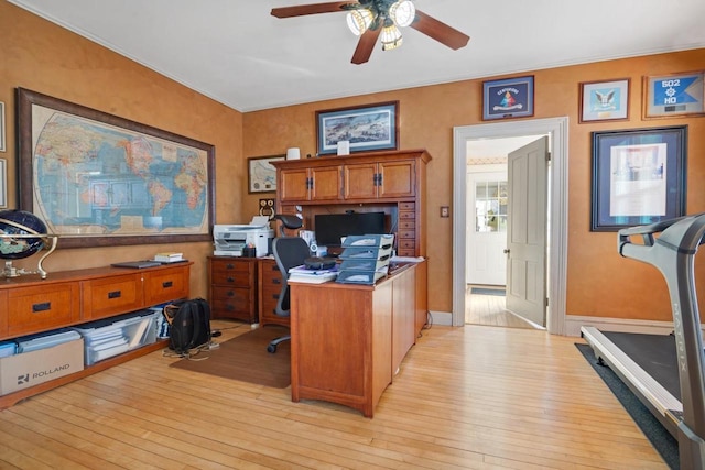 205 State St, Ripon, WI 54971 - office featuring ceiling fan, light wood-style flooring, and baseboards