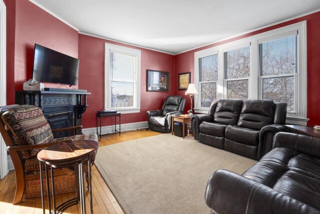 205 State St, Ripon, WI 54971 - living room with crown molding, a fireplace, baseboards, and hardwood / wood-style floors