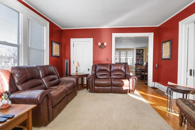 205 State St, Ripon, WI 54971 - living room with crown molding, light wood-style flooring, and baseboards