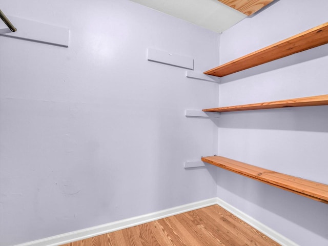 spacious closet featuring light wood-type flooring