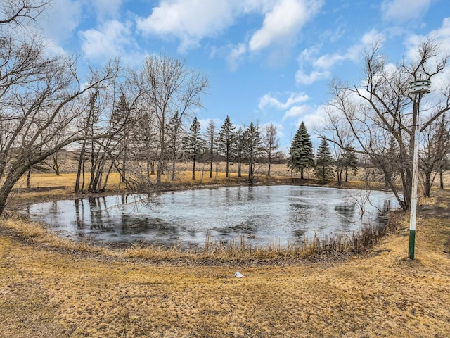 view of water feature