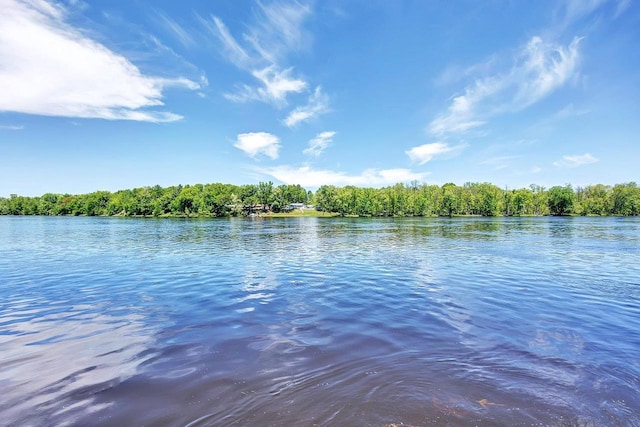 property view of water with a forest view