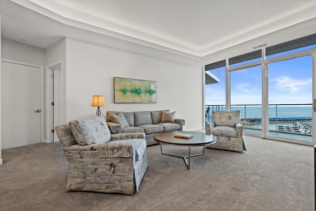 living area featuring carpet floors and visible vents