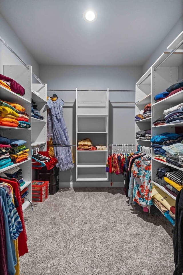 spacious closet with carpet floors